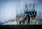 Glass, urethane resin<br />28 in x 100 in x 38 in