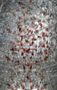 Glass, steel<br />120 in x 72 in
